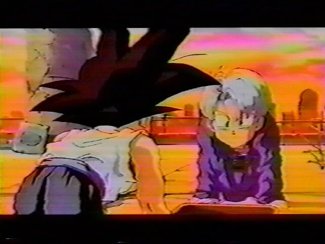 Dragonball Z Movie 13 (23).jpg